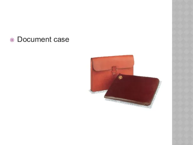 Document case