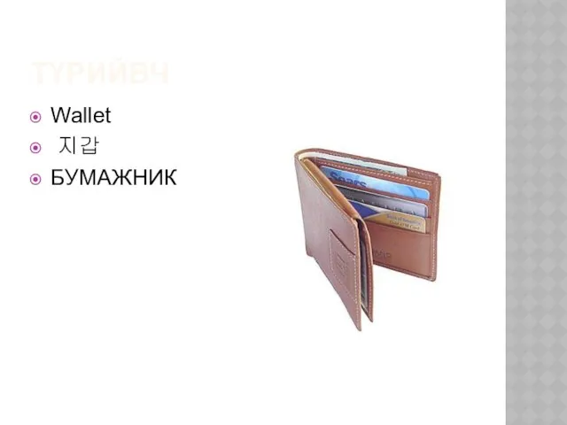 ТҮРИЙВЧ Wallet 지갑 БУМАЖНИК