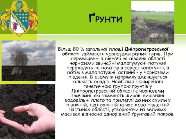 Ґрунти Більш 80 % загальної площі Дніпропетровської області займають чорноземи різних
