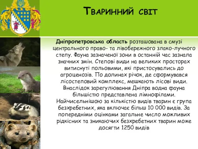 Тваринний світ Дніпропетровська область розташована в смузі центрального право- та лівобережного