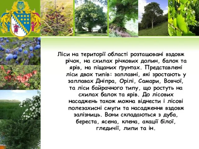 Ліси на території області розташовані вздовж річок, на схилах річкових долин,