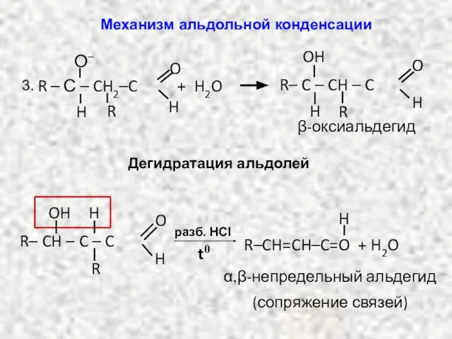 β-оксиальдегид R – С – CH2–C O H H О– R