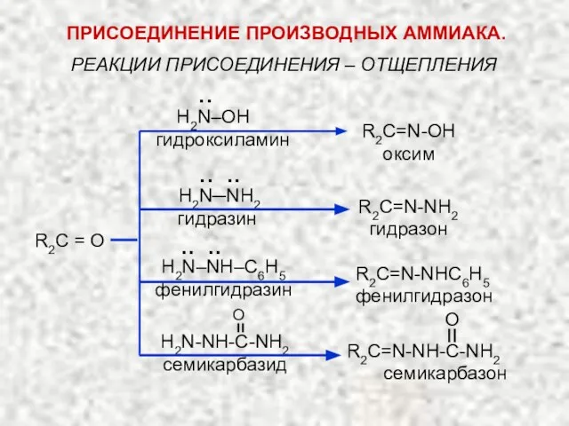 РЕАКЦИИ ПРИСОЕДИНЕНИЯ – ОТЩЕПЛЕНИЯ R2C = O H2N‒OH гидроксиламин R2C=N-OH оксим