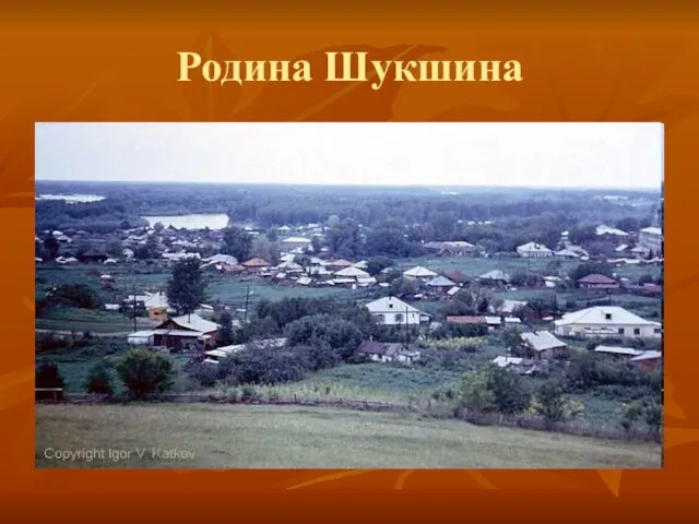 Родина Шукшина