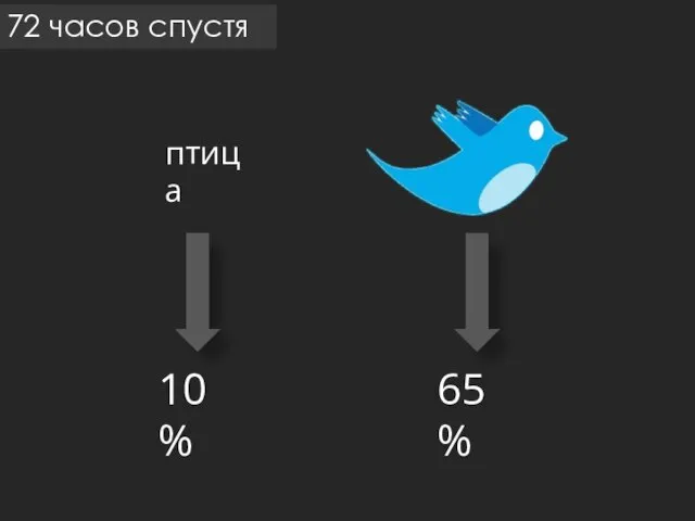 72 часов спустя