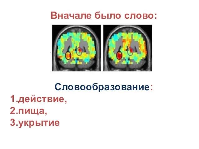 Вначале было слово: Словообразование: действие, пища, укрытие