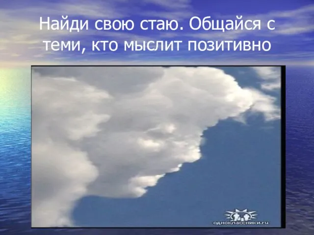 Найди свою стаю. Общайся с теми, кто мыслит позитивно