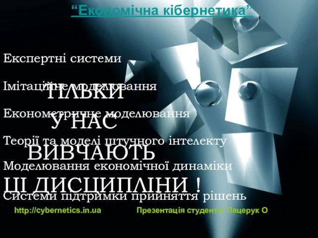 Економетричне моделювання Імітаційне моделювання Системи підтримки прийняття рішень Теорії та моделі