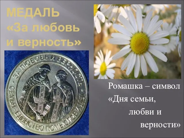 МЕДАЛЬ «За любовь и верность» Ромашка – символ «Дня семьи, любви и верности»