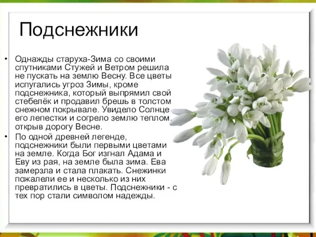 Подснежники Однажды старуха-Зима со своими спутниками Стужей и Ветром решила не