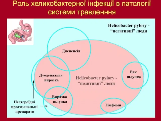 Роль хеликобактерної інфекції в патології системи травленння