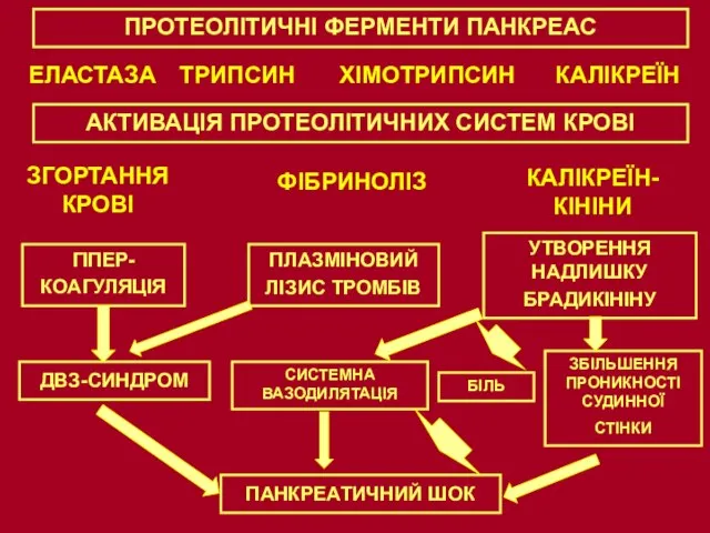 ПРОТЕОЛІТИЧНІ ФЕРМЕНТИ ПАНКРЕАС ЕЛАСТАЗА ТРИПСИН ХІМОТРИПСИН КАЛІКРЕЇН АКТИВАЦІЯ ПРОТЕОЛІТИЧНИХ СИСТЕМ КРОВІ