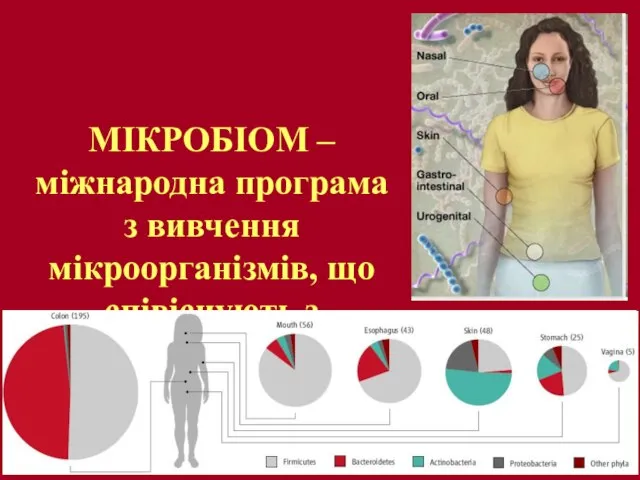 МІКРОБІОМ – міжнародна програма з вивчення мікроорганізмів, що співіснують з людиною