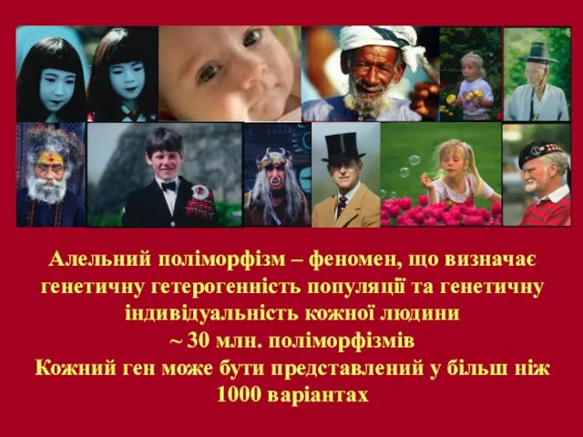 Алельний поліморфізм – феномен, що визначає генетичну гетерогенність популяції та генетичну