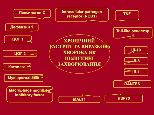 ХРОНІЧНИЙ ГАСТРИТ ТА ВИРАЗКОВА ХВОРОБА ЯК ПОЛІГЕННІ ЗАХВОРЮВАННЯ Intracellular pathogen receptor