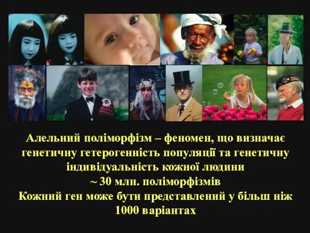 Алельний поліморфізм – феномен, що визначає генетичну гетерогенність популяції та генетичну