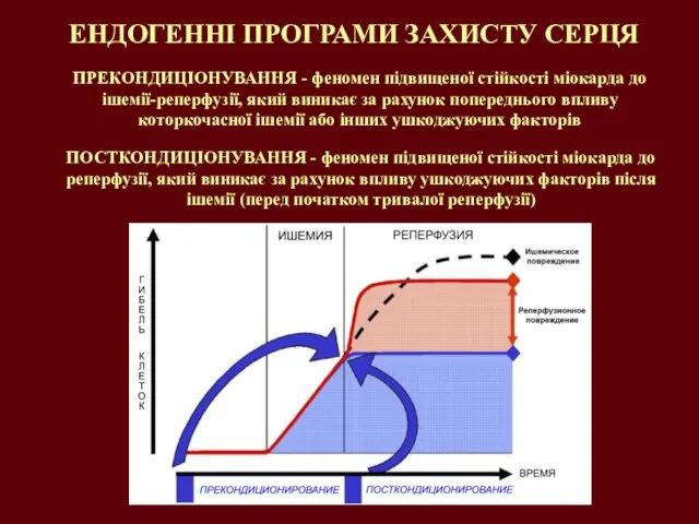 ЕНДОГЕННІ ПРОГРАМИ ЗАХИСТУ СЕРЦЯ ПРЕКОНДИЦІОНУВАННЯ - феномен підвищеної стійкості міокарда до