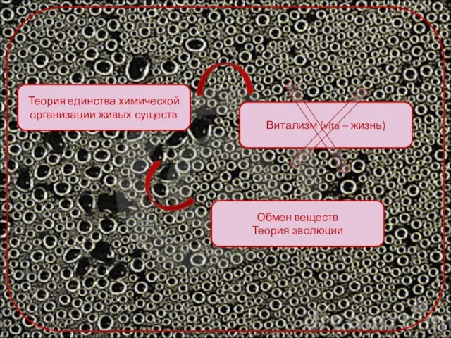 Теория единства химической организации живых существ Витализм (vita – жизнь) Обмен веществ Теория эволюции