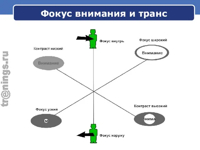 Фокус внимания и транс