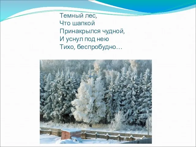 Темный лес, Что шапкой Принакрылся чудной, И уснул под нею Тихо, беспробудно…