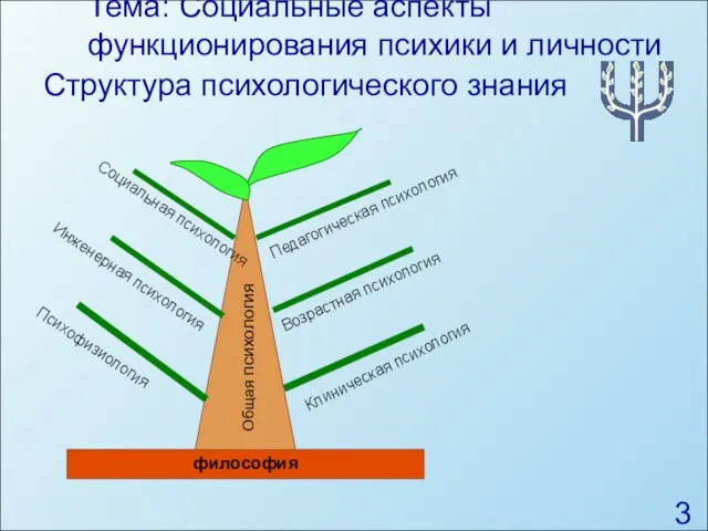 Тема: Социальные аспекты функционирования психики и личности Структура психологического знания