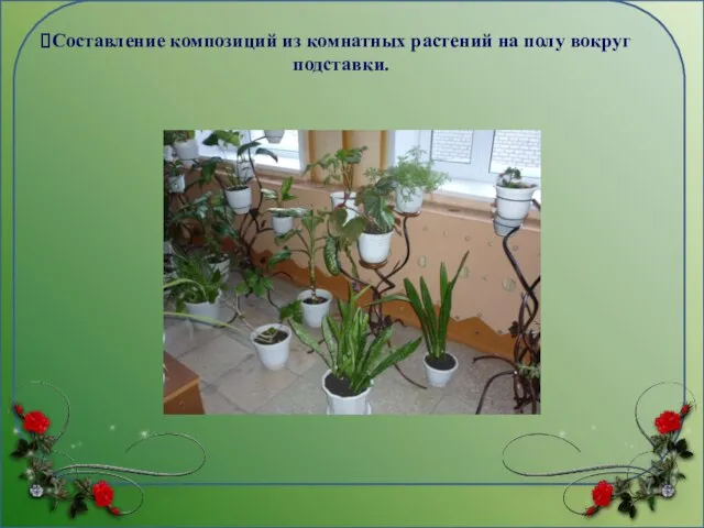 Составление композиций из комнатных растений на полу вокруг подставки.