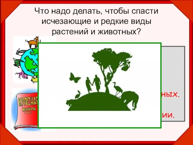 Что надо делать, чтобы спасти исчезающие и редкие виды растений и