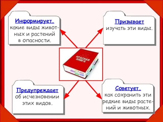 Информирует, какие виды живот- ных и растений в опасности. Призывает изучать