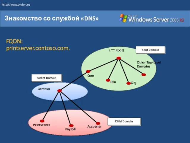 Знакомство со службой «DNS» Root Domain Child Domain Parent Domain Org