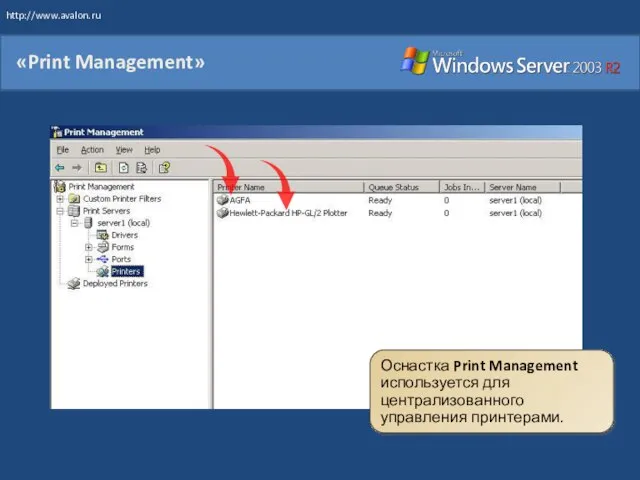«Print Management» Оснастка Print Management используется для централизованного управления принтерами. http://www.avalon.ru