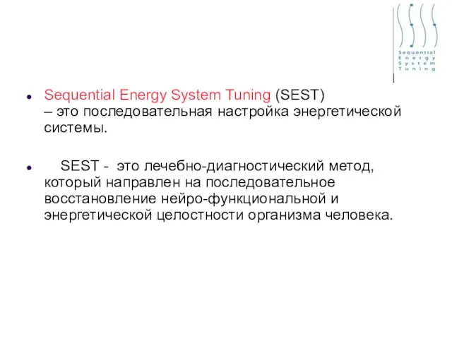 Sequential Energy System Tuning (SEST) – это последовательная настройка энергетической системы.
