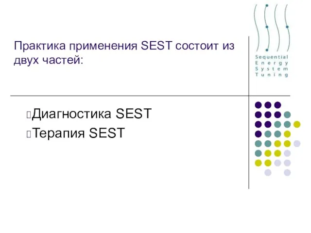 Практика применения SEST состоит из двух частей: Диагностика SEST Терапия SEST