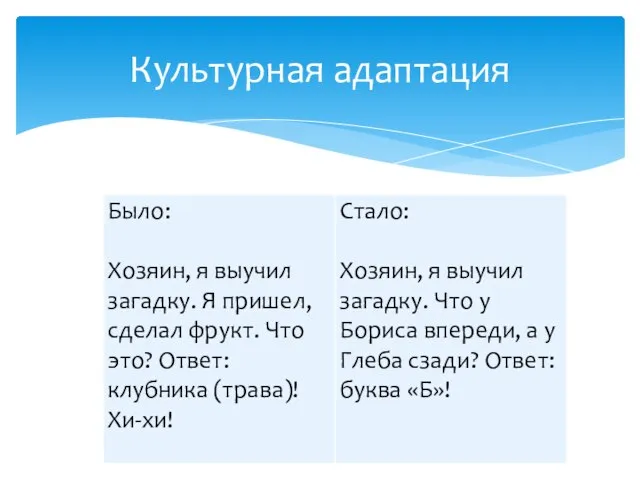 Культурная адаптация