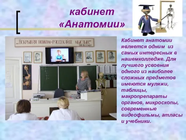 кабинет «Анатомии» Кабинет анатомии является одним из самых интересных в нашемколледже.