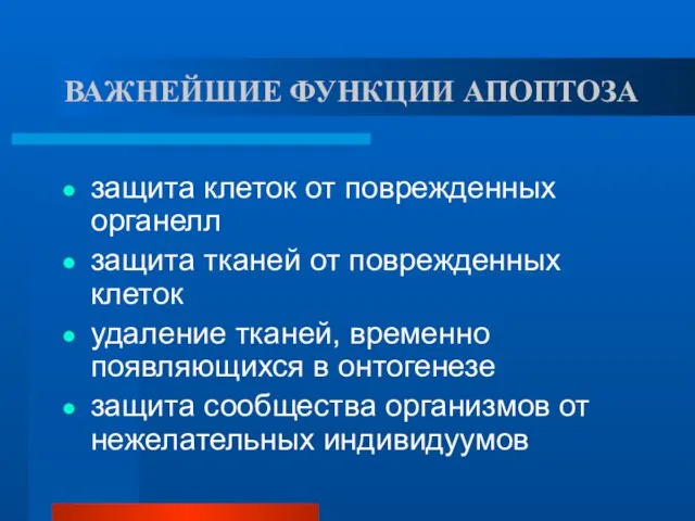 ВАЖНЕЙШИЕ ФУНКЦИИ АПОПТОЗА защита клеток от поврежденных органелл защита тканей от