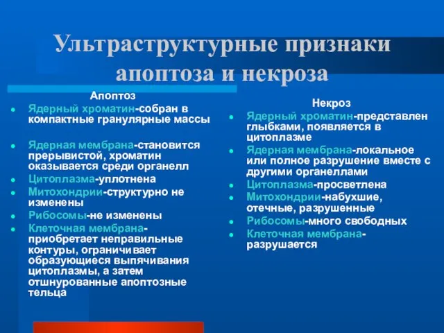 Ультраструктурные признаки апоптоза и некроза Апоптоз Ядерный хроматин-собран в компактные гранулярные