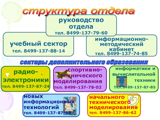 структура отдела секторы дополнительного образования