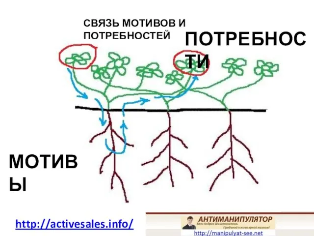 СВЯЗЬ МОТИВОВ И ПОТРЕБНОСТЕЙ МОТИВЫ ПОТРЕБНОСТИ http://activesales.info/