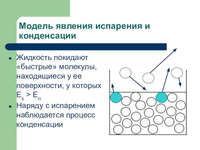 Модель явления испарения и конденсации Жидкость покидают «быстрые» молекулы, находящиеся у