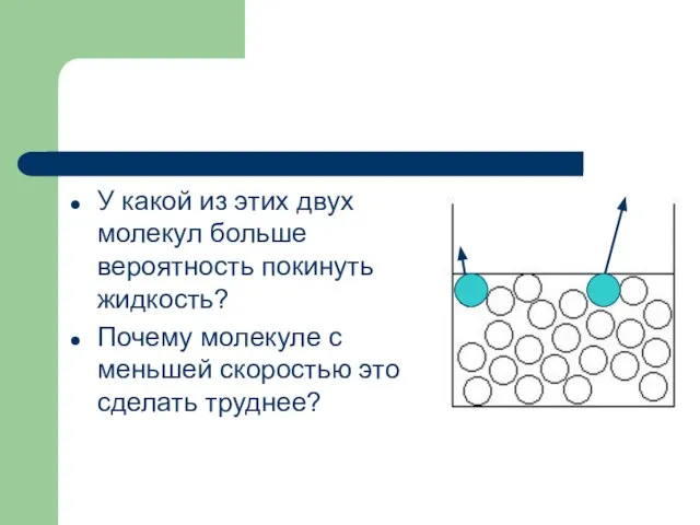 У какой из этих двух молекул больше вероятность покинуть жидкость? Почему