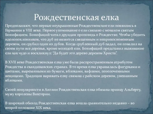 Рождественская елка Предполагают, что первые неукрашенные Рождественские ели появились в Германии