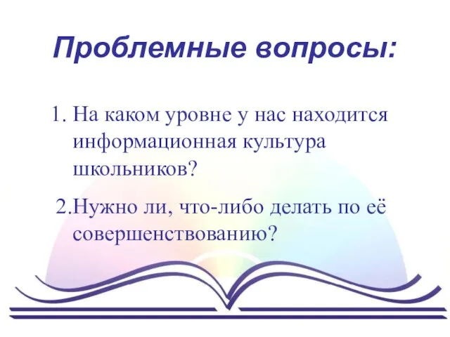 Проблемные вопросы: На каком уровне у нас находится информационная культура школьников?