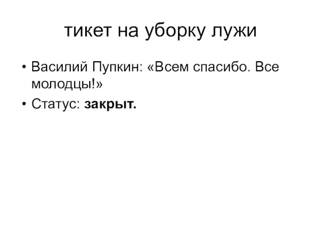 тикет на уборку лужи Василий Пупкин: «Всем спасибо. Все молодцы!» Статус: закрыт.