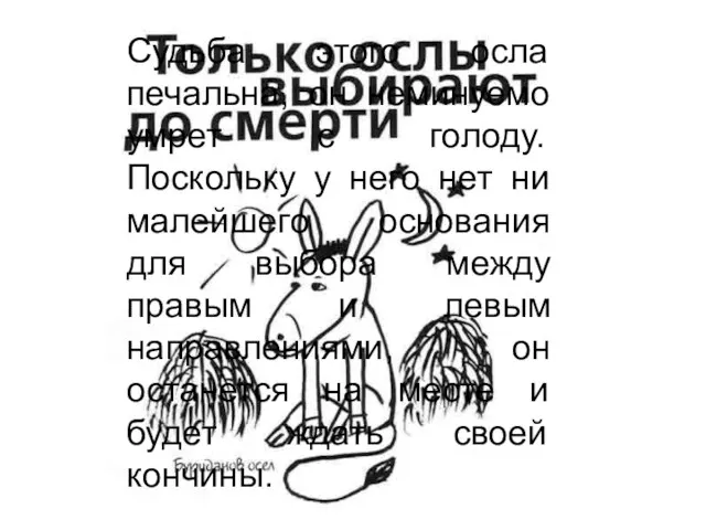 Судьба этого осла печальна, он неминуемо умрет с голоду. Поскольку у