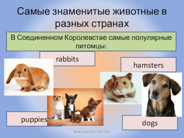 Самые знаменитые животные в разных странах Воронцова Н.С. 2011-2012 В Соединенном