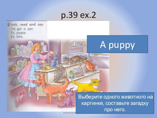 p.39 ex.2 Воронцова Н.С. 2011-2012 A puppy Выберите одного животного на картинке, составьте загадку про него.