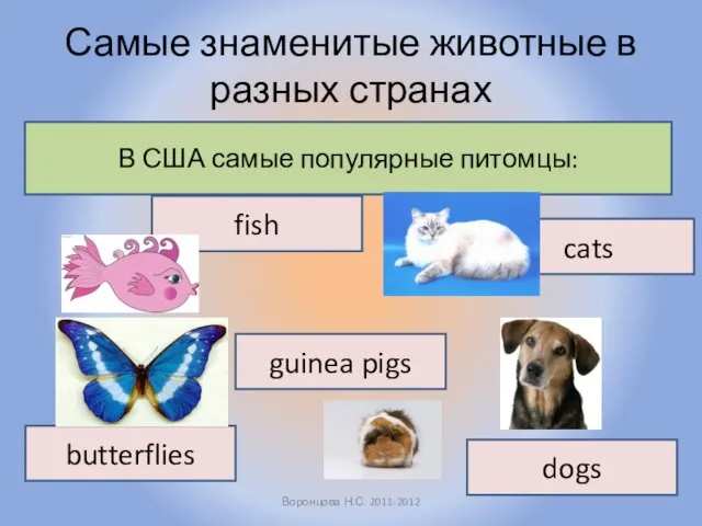 Самые знаменитые животные в разных странах Воронцова Н.С. 2011-2012 В США