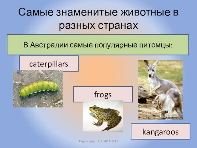 Самые знаменитые животные в разных странах Воронцова Н.С. 2011-2012 В Австралии