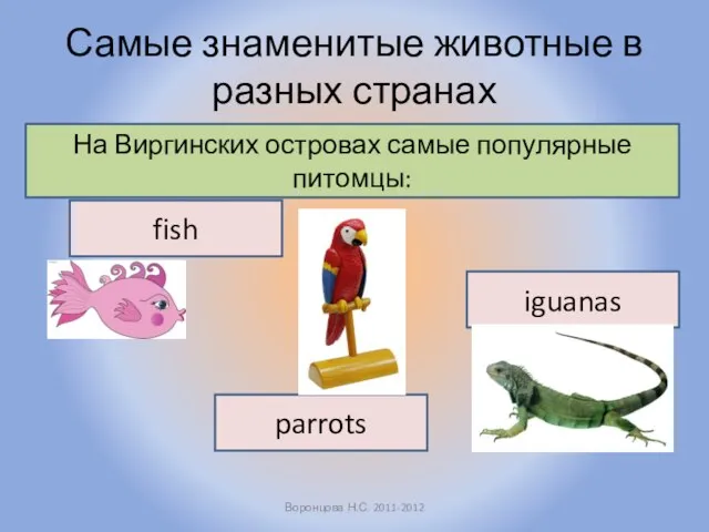 Самые знаменитые животные в разных странах Воронцова Н.С. 2011-2012 На Виргинских