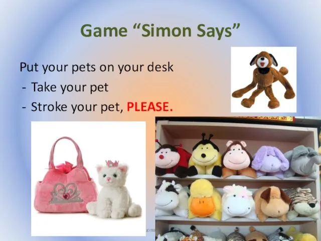 Game “Simon Says” Put your pets on your desk Take your